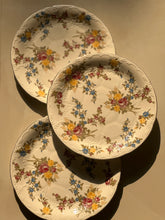 Country Garden Plates - Set of 4