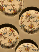 Country Garden Plates - Set of 4